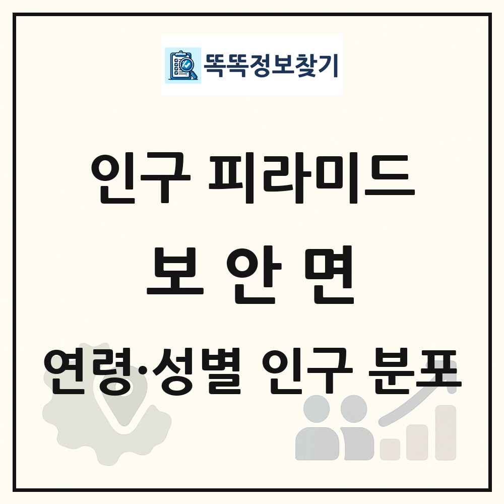 보안면 인구 피라미드 링크 그림